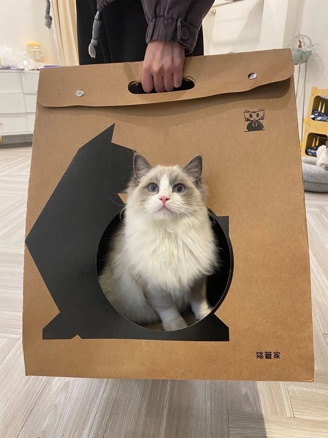 Foldable Cardboard Paper Cat House
