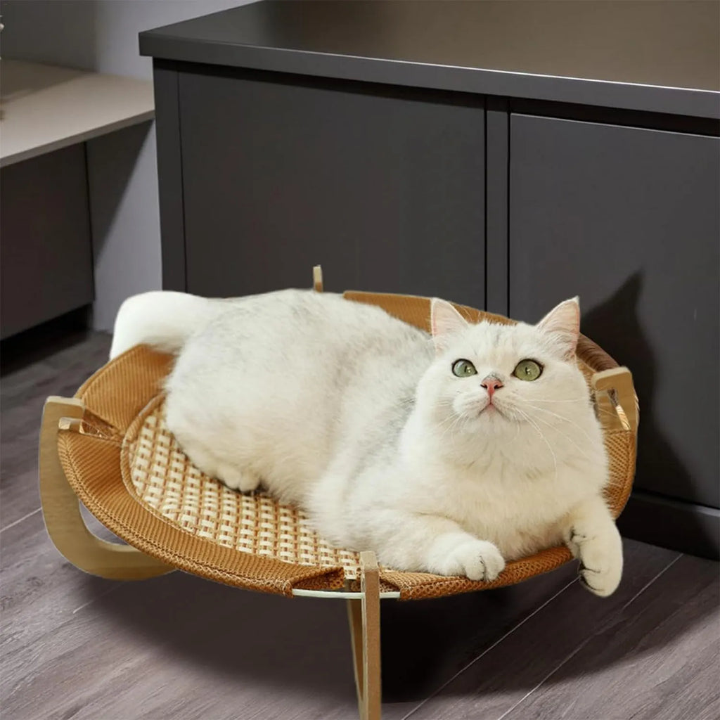 Elevated Natural Rattan Cat Bed with Wooden Base