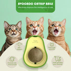 Wall-Mounted Catnip Ball Toys