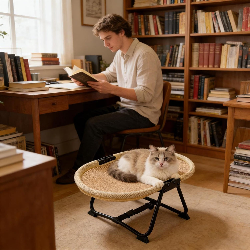 Foldable Elevated Round Pet Chair – Single or Multi-Color Set