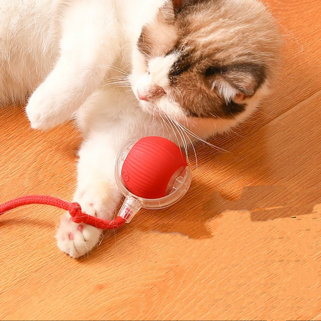 Rechargeable Smart Rolling Pet Ball – 7 Styles