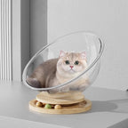 Transparent Space Capsule Cat Bed – 3 Sizes