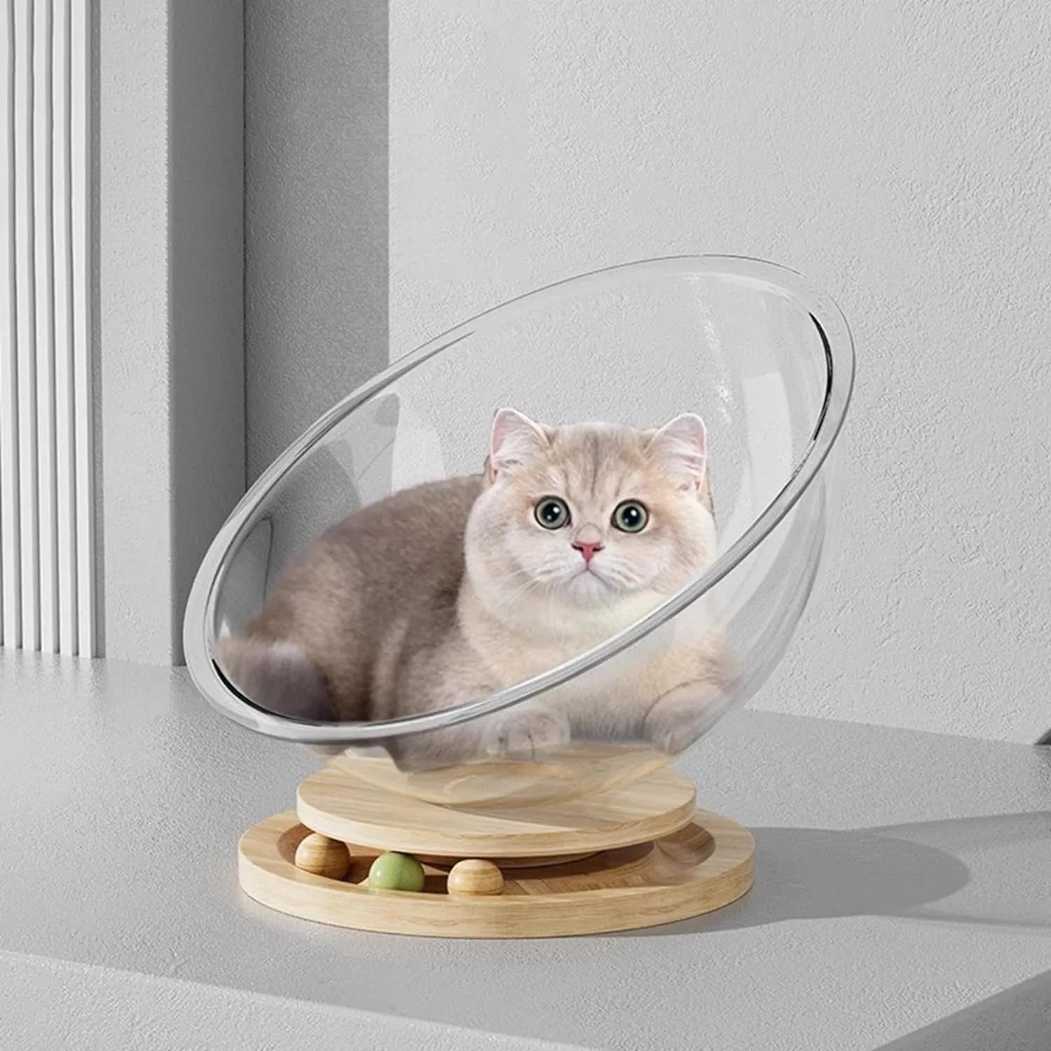 Transparent Space Capsule Cat Bed – 3 Sizes