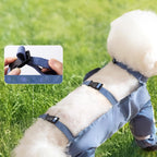Four-Leg Dog Outdoor Coverall with Paw Covers – 5 Sizes, 3 Styles