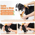 Dog Harness with Built-In Retractable Leash – 3 Colors