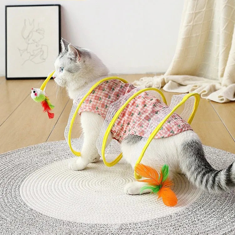 Spiral Cat Track Toy with Ball and Feather – Single or Multi-Pack