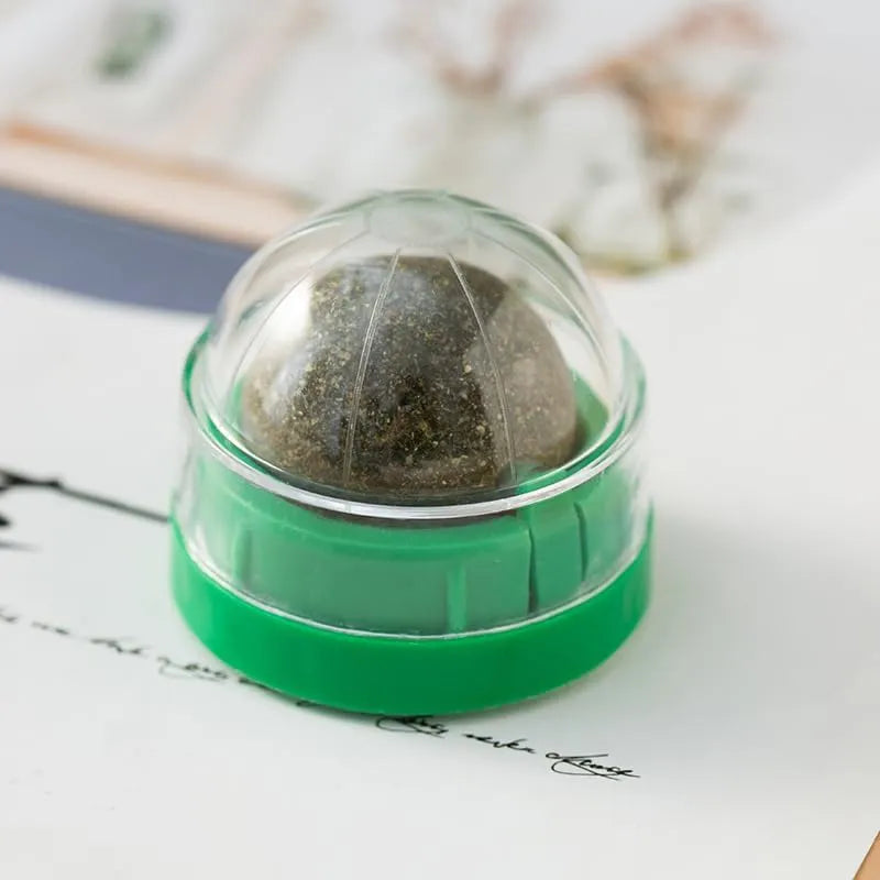 Wall-Mounted 360° Rotating Catnip Ball – 1 or 3 Pack