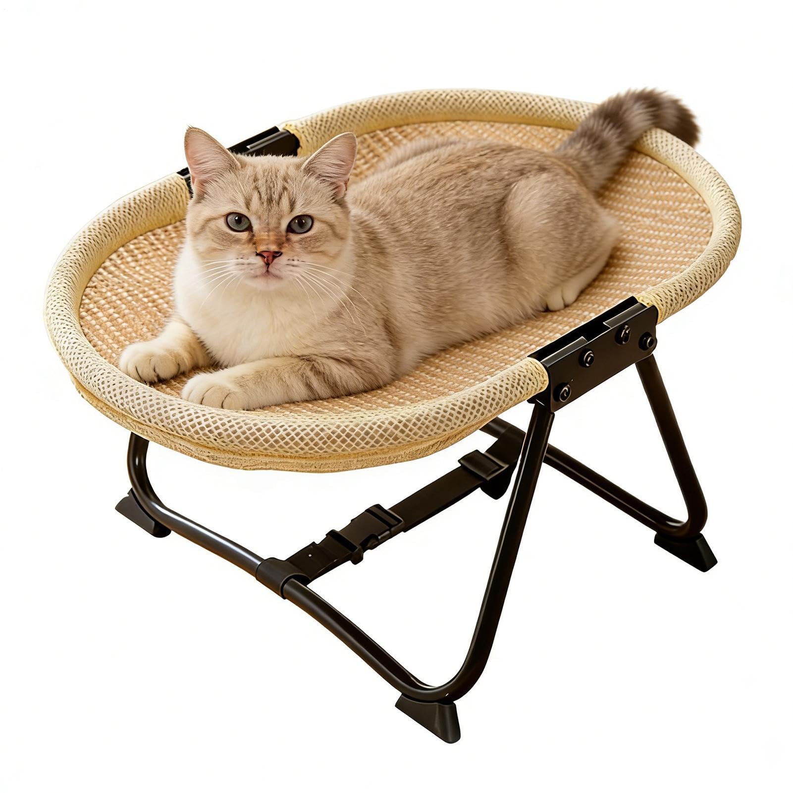 Foldable Elevated Round Pet Chair – Single or Multi-Color Set