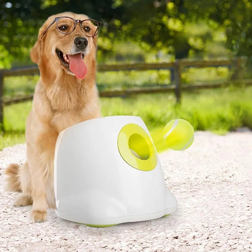 Automatic Dog Ball Launcher for Interactive Fetch