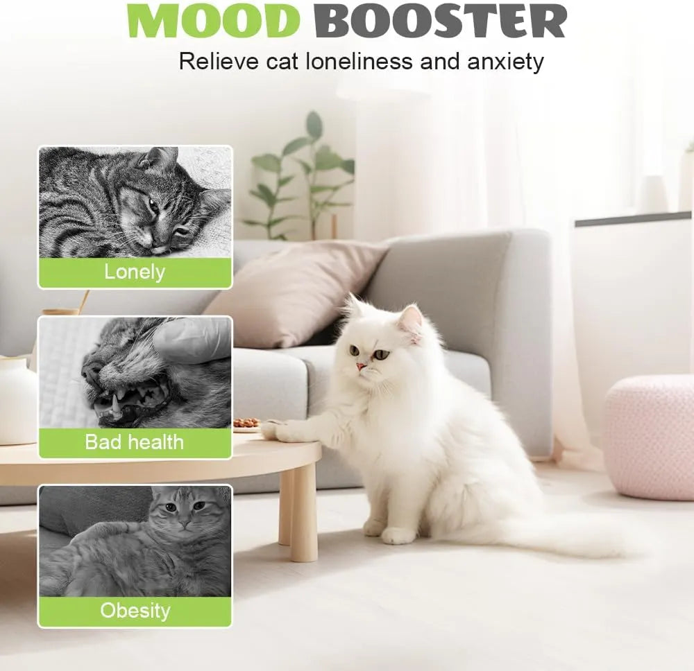 Automatic Wiggling Worm Cat Toy with Feather – 1 or 2 Set