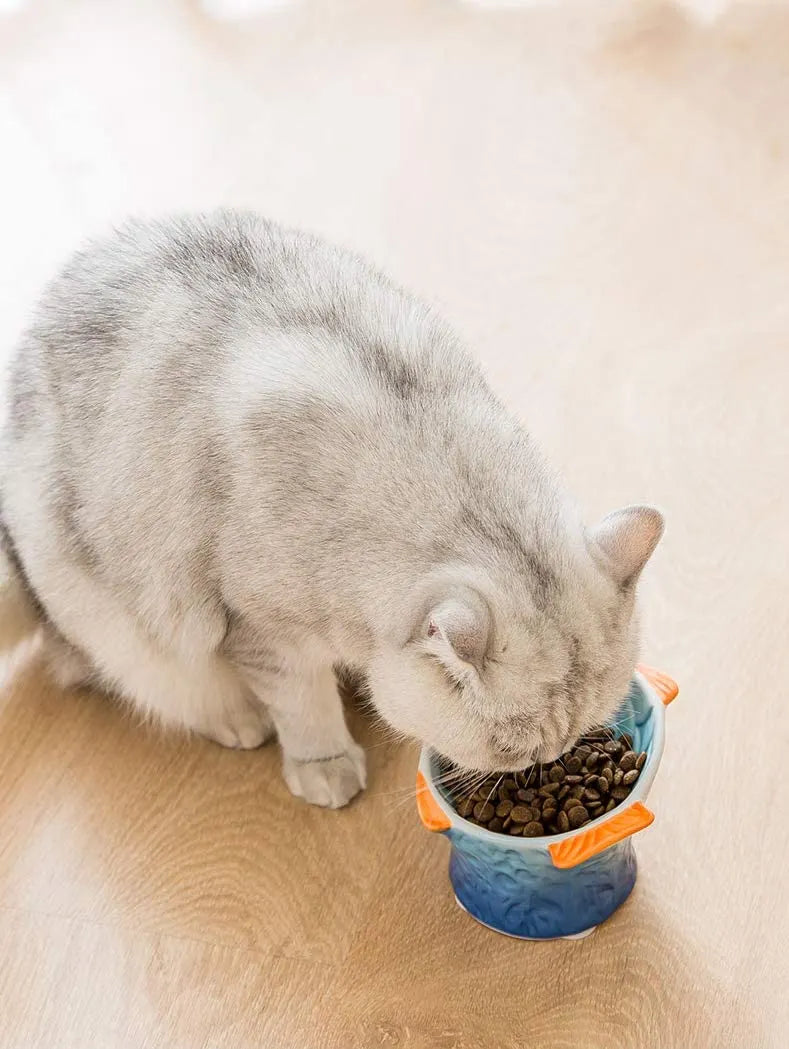Colorful Raised Ceramic Cat Food Bowl – 4 Colors