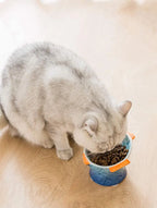 Colorful Raised Ceramic Cat Food Bowl – 4 Colors