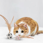 Bouncy Feather Sports Ball Toys for Indoor Cats