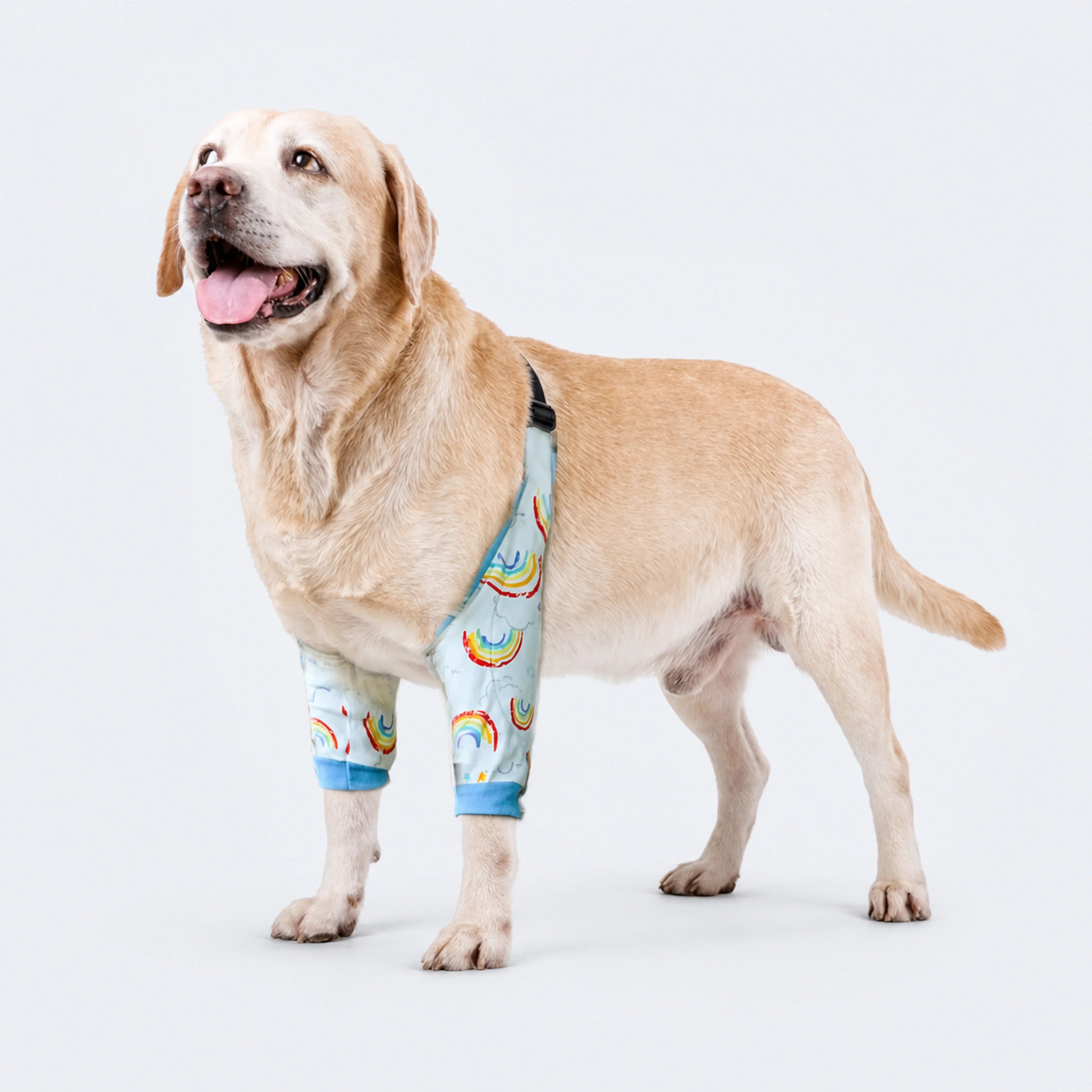 Dog Front-Leg & Elbow Protection Sleeve – 4 Sizes | ALDERKIN