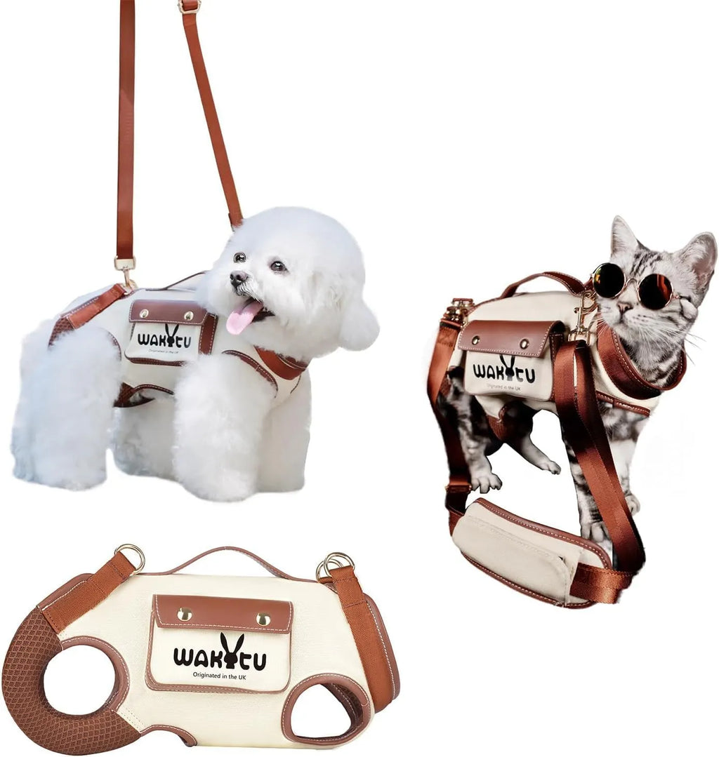 Supportive Small Dog Vest Harness – 2 Colors, 4 Sizes