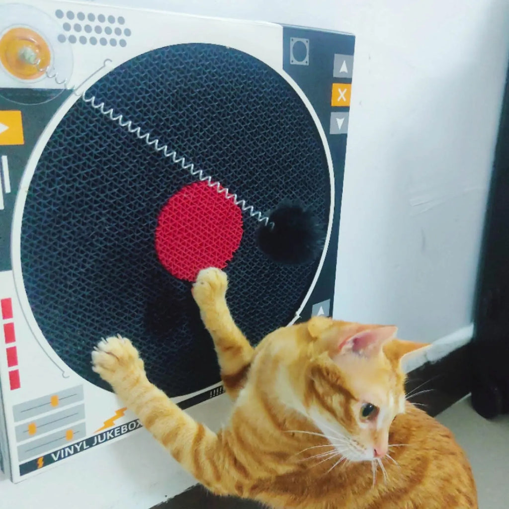 Record Player Cardboard Cat Scratcher with Play Ball – 2 Colors