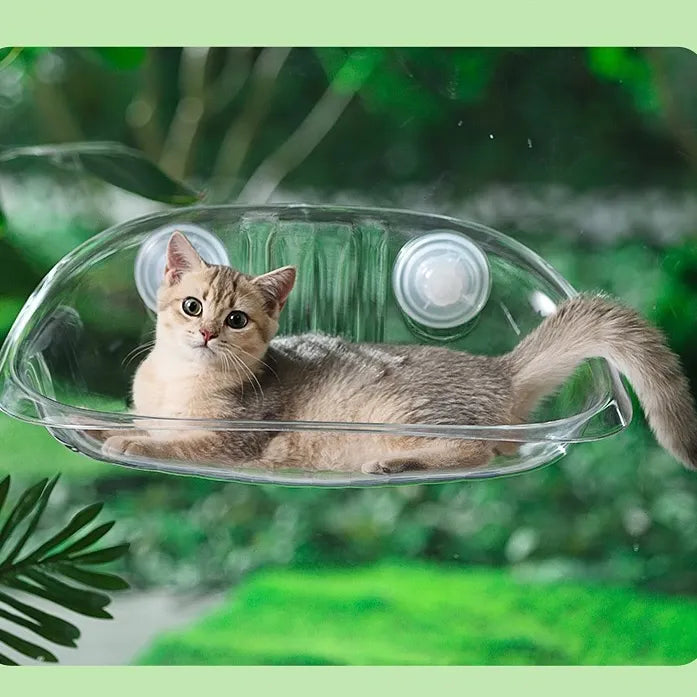 Clear Suction Cup Cat Window Bubble Bed – Single or 2-Pack