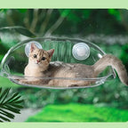 Clear Suction Cup Cat Window Bubble Bed – Single or 2-Pack