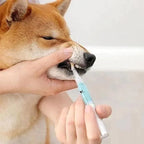 Pet Tooth Surface-Cleaning Pen – 1 or 2 Pack