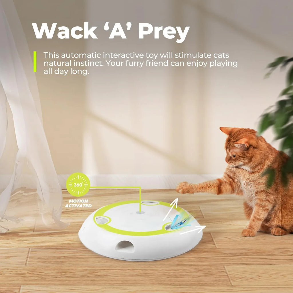 Automatic Pop-Up Feather Cat Toy with Rotating Track