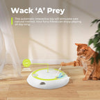 Automatic Pop-Up Feather Cat Toy with Rotating Track
