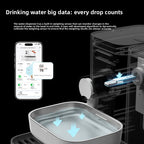 Heated Automatic Pet Water Dispenser with Stainless Steel Bowl