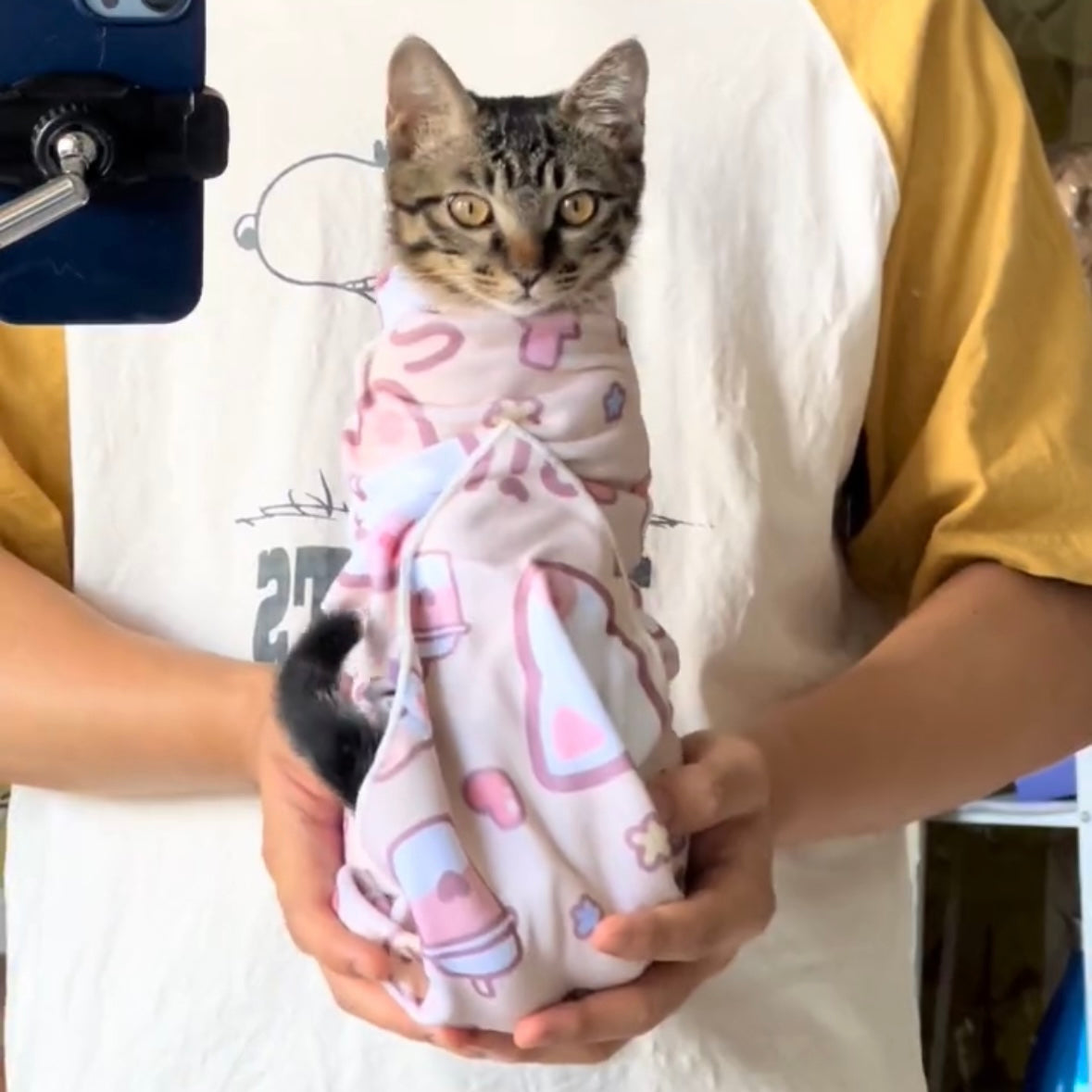 Cat Grooming Wrap for Nail Trimming – M & L, 10 Styles