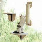 Suction Cup Window Cat Shelves & Scratching Post – 3 Styles