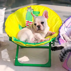 Foldable Oxford Cloth Chair for Cats & Small Dogs