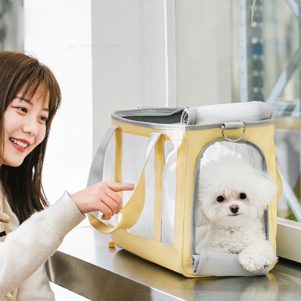 Roll-Up Mesh Pet Carrier Tote – 3 Colors