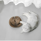 Expandable Cardboard Cat Scratcher with Ball Track