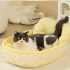 Macaron-Color Indoor Cat Bed