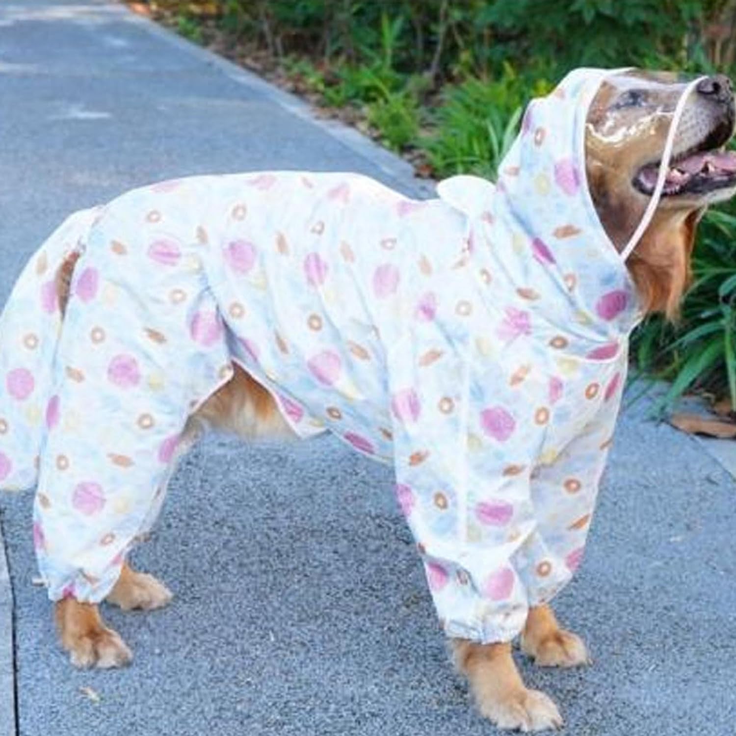Full-Coverage Large Dog Raincoat with Clear-Brim Hood