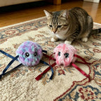 Interactive Plush Ball Toy for Cats