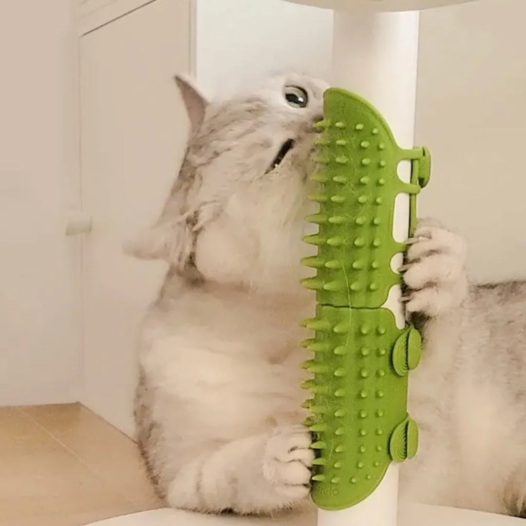 Corner-Mounted Cat Self-Grooming Brush