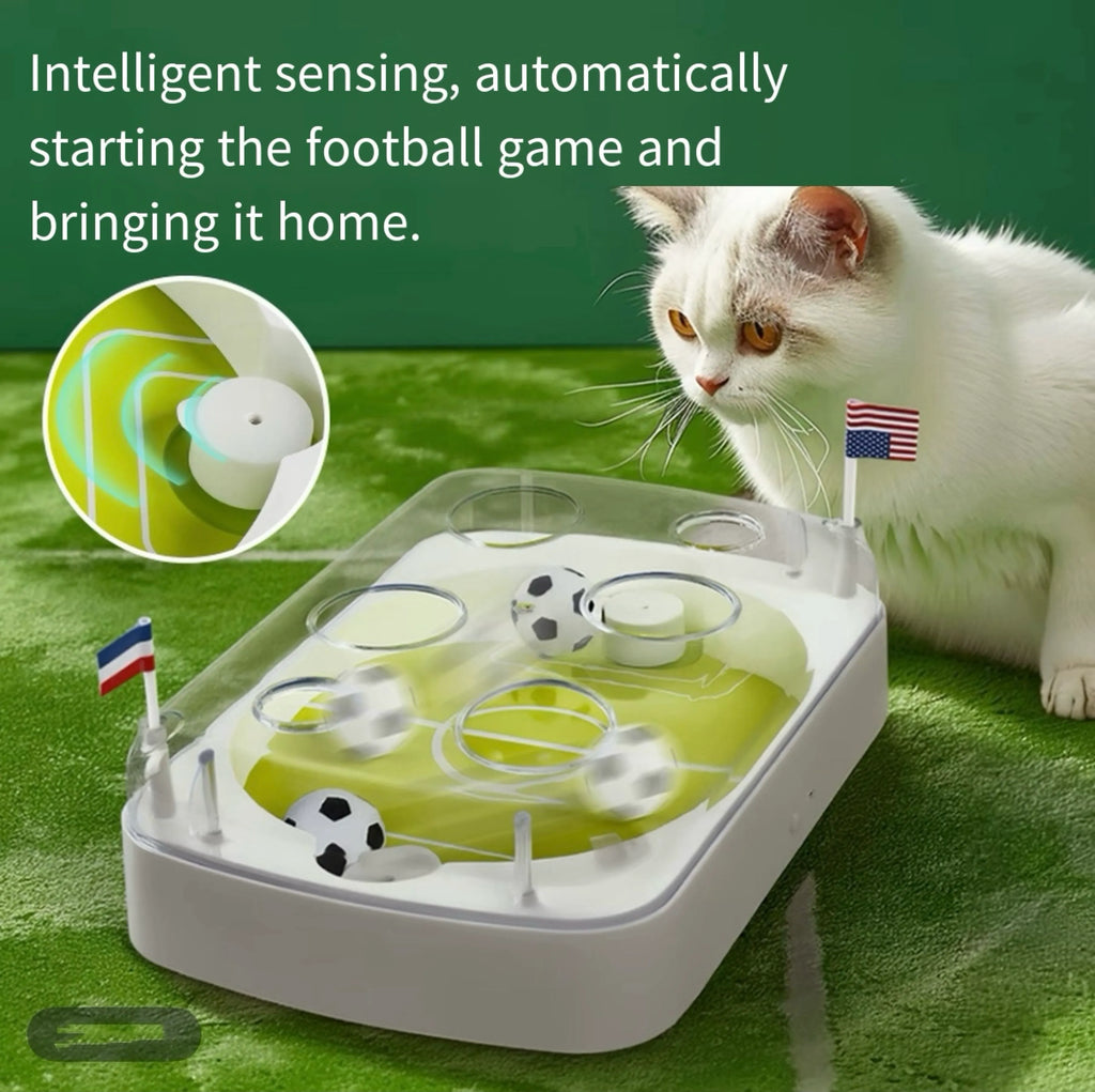 Interactive Tabletop Soccer Game for Cats