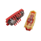 Electronic Crawling Bug Cat Toys – Random Colors, 2–6 Pack
