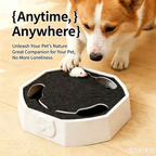 Interactive Rotating Mouse Track Cat Toy with Felt Scratcher
