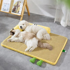 Rattan-Weave Pet Mat with Plush Bolster – 3 Sizes
