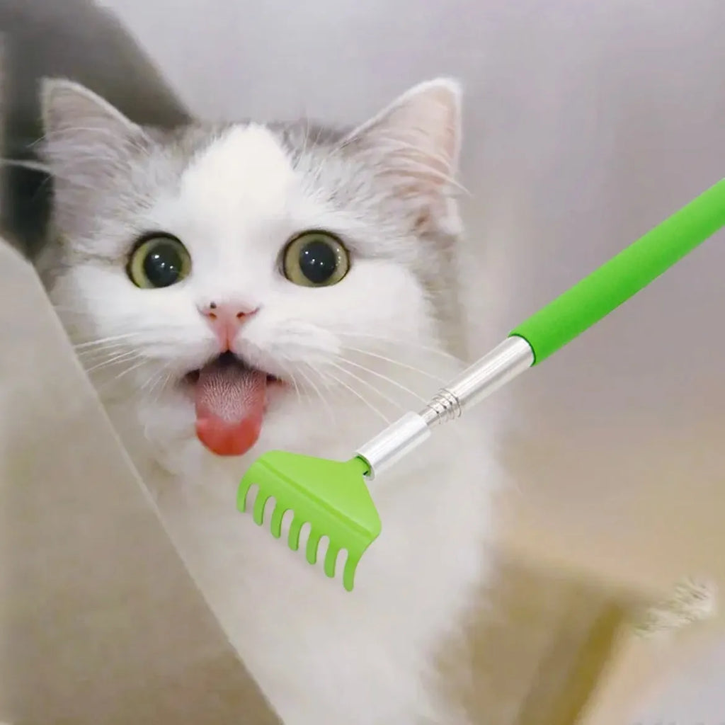 Portable Telescopic Stainless Steel Back Scratcher