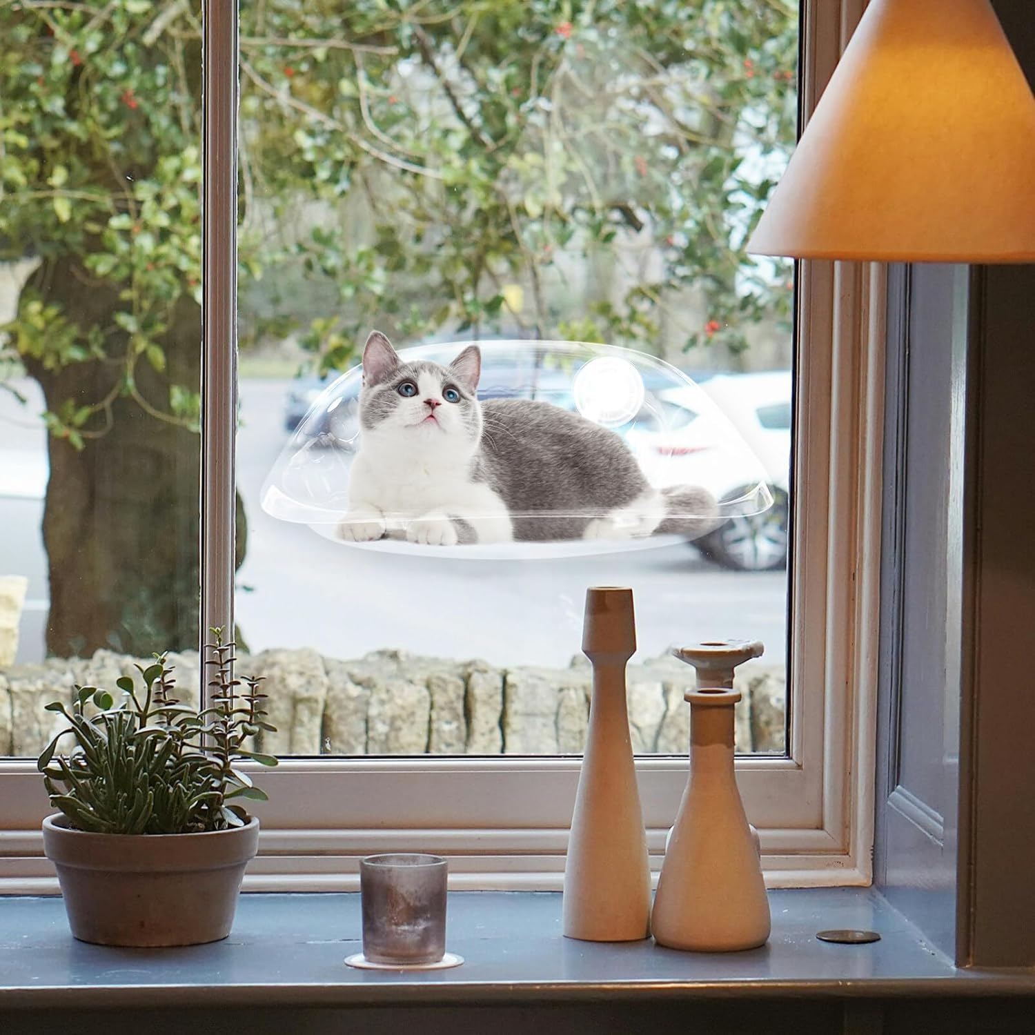 Clear Suction Cup Cat Window Bubble Bed – Single or 2-Pack