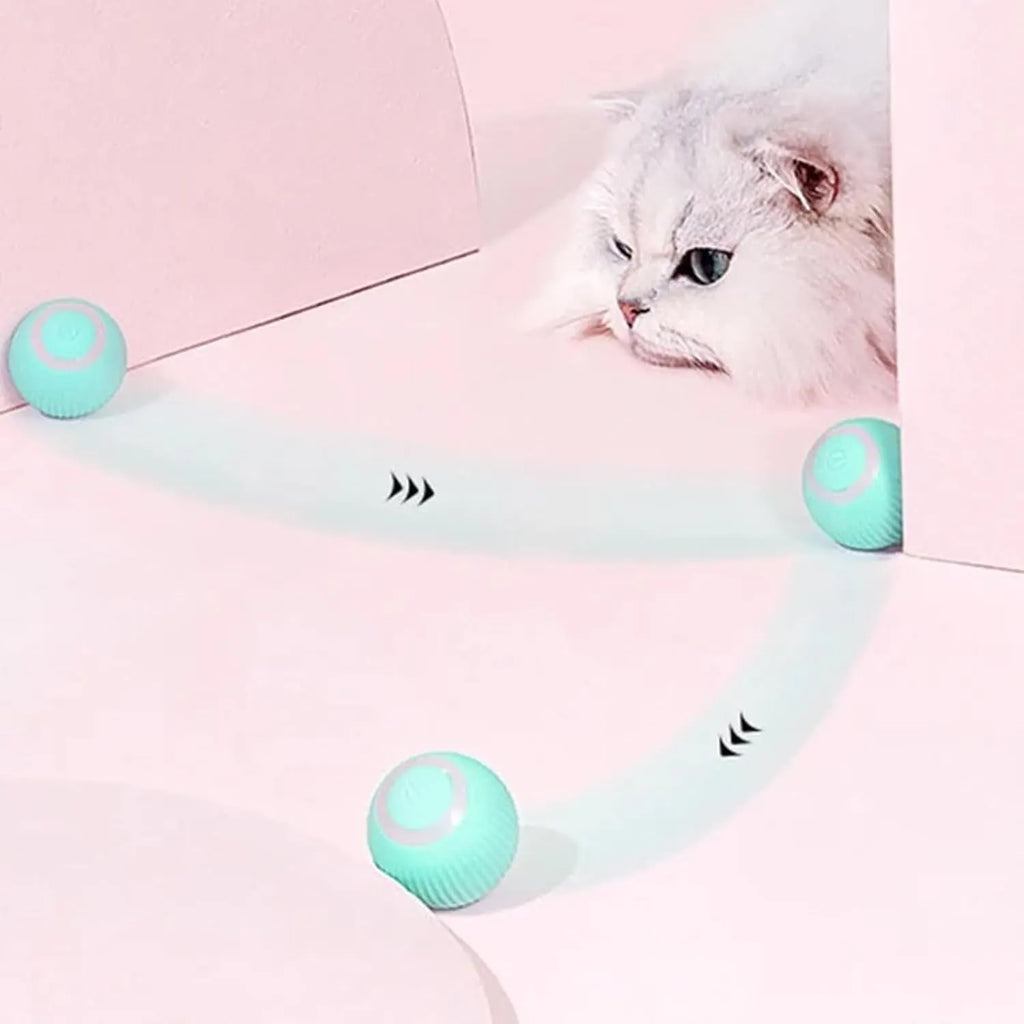 Rechargeable Smart Rolling Pet Ball – 7 Styles