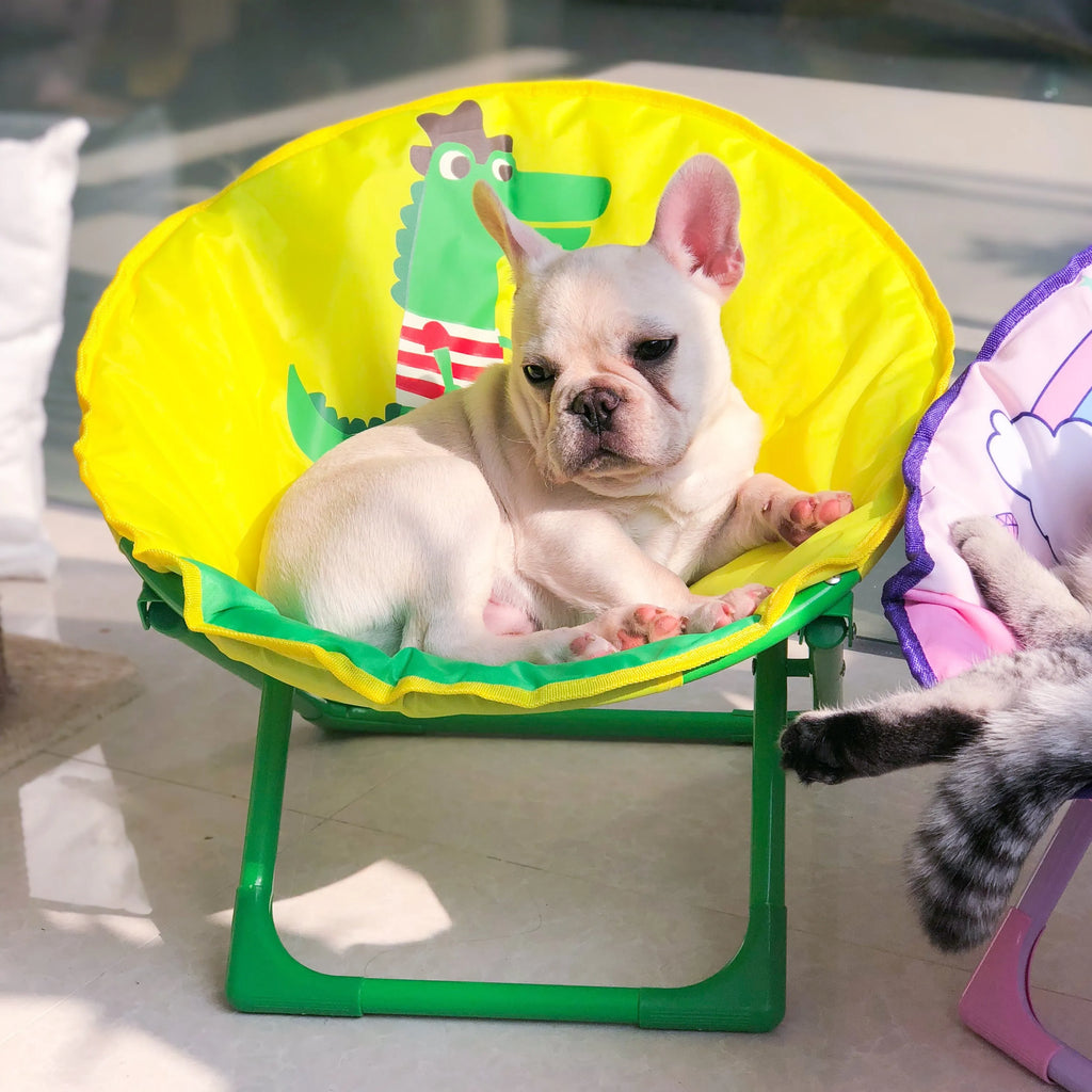 Foldable Oxford Cloth Chair for Cats & Small Dogs