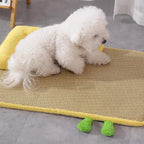 Rattan-Weave Pet Mat with Plush Bolster – 3 Sizes