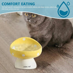 200ml Elevated Ceramic Cat Feeding Bowl