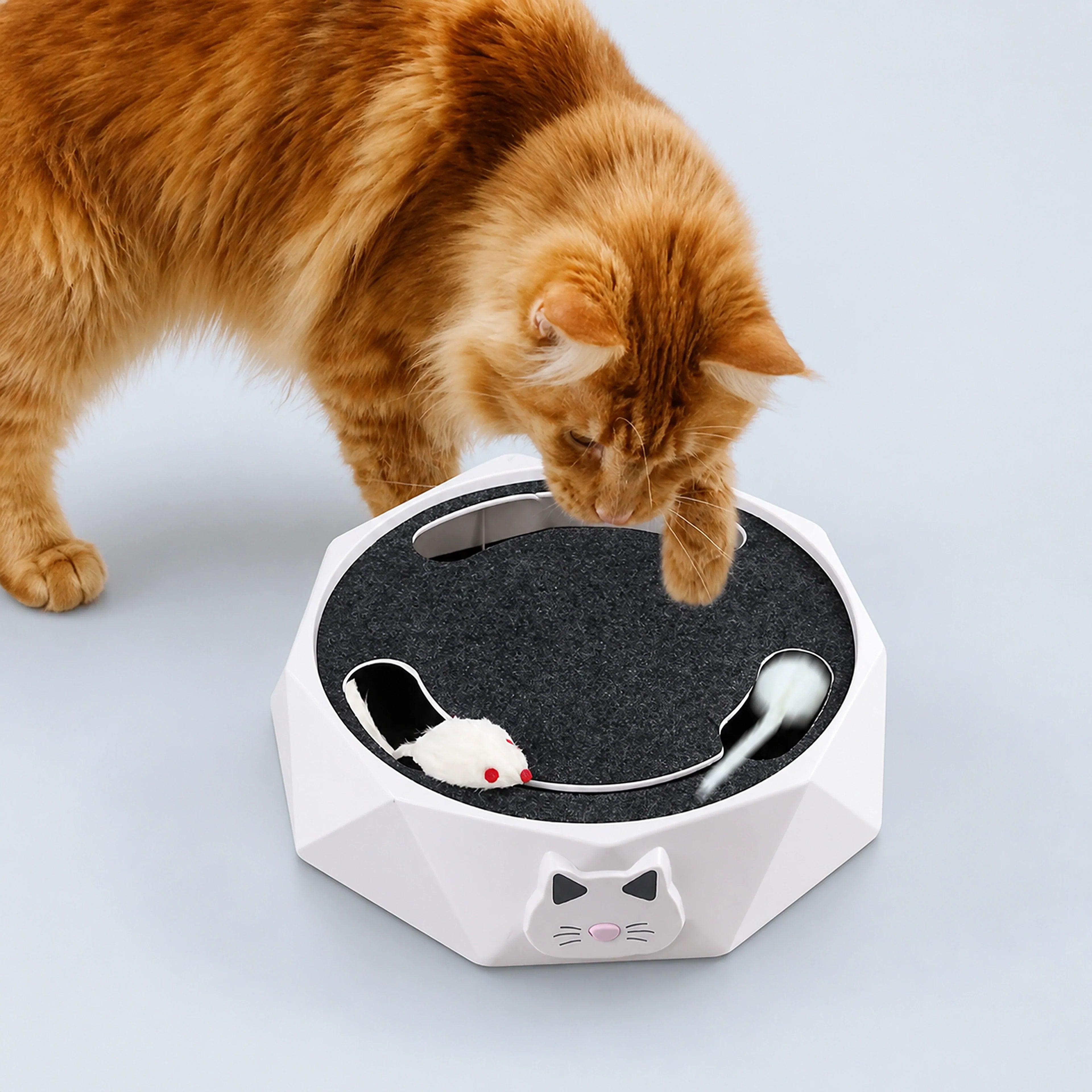 Interactive Rotating Mouse Track Cat Toy with Felt Scratcher | ALDERKIN
