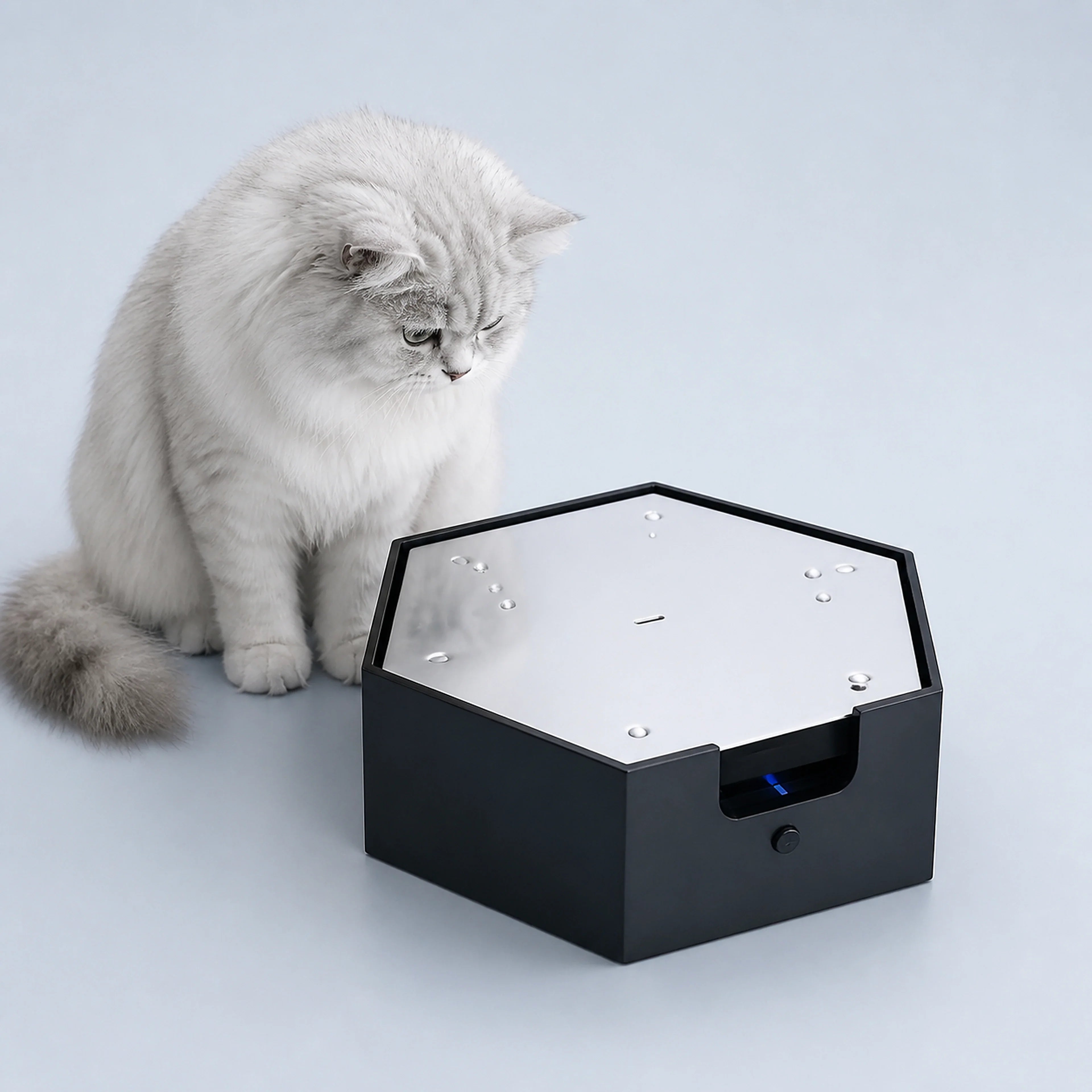 Black interactive water-droplet cat teaser with a cat on a cool gray-blue background
