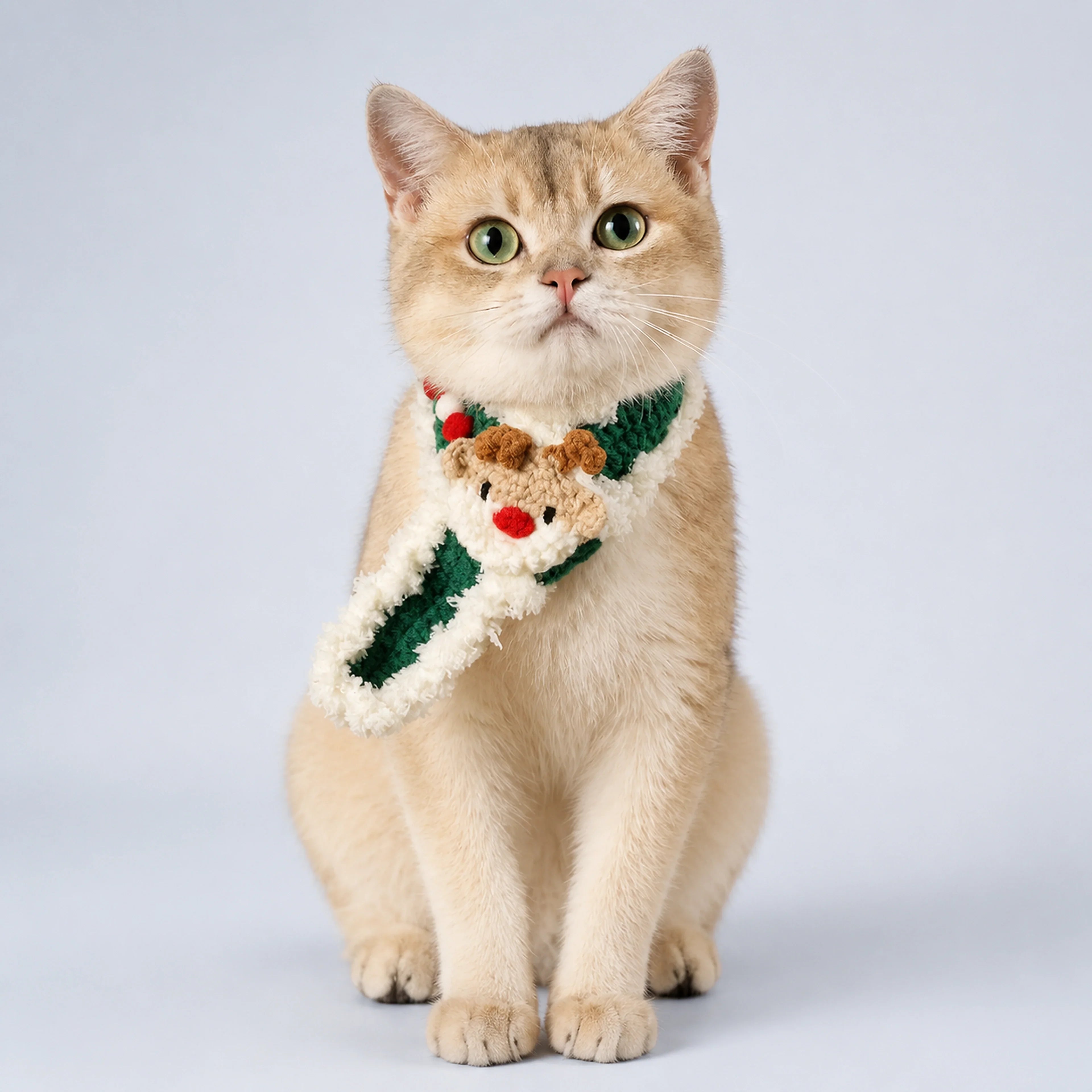 Knitted Christmas scarf Pet Decorations | ALDERKIN