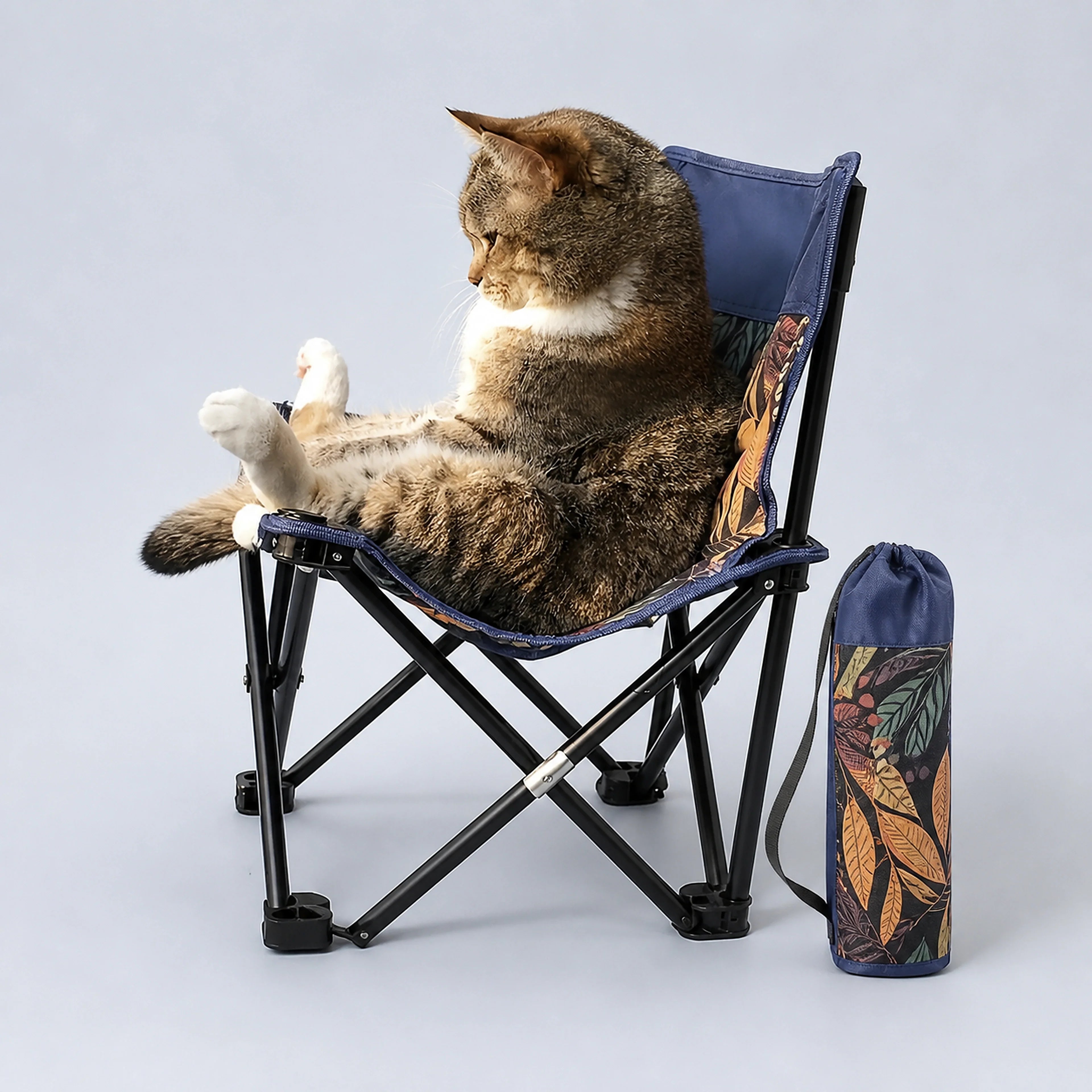 Portable Folding Chair for Cats & Small Pets with Carry Bag | ALDERKIN