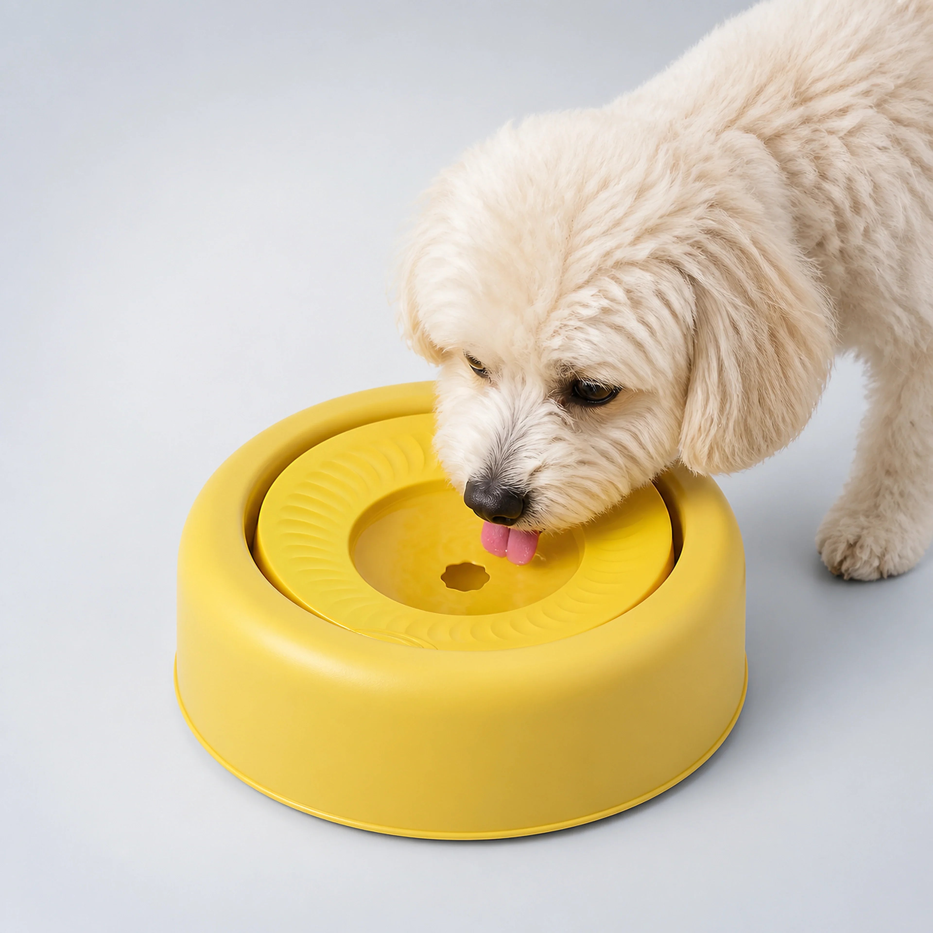 Reduced-Spill Pet Water Bowl – 4 Colors | ALDERKIN